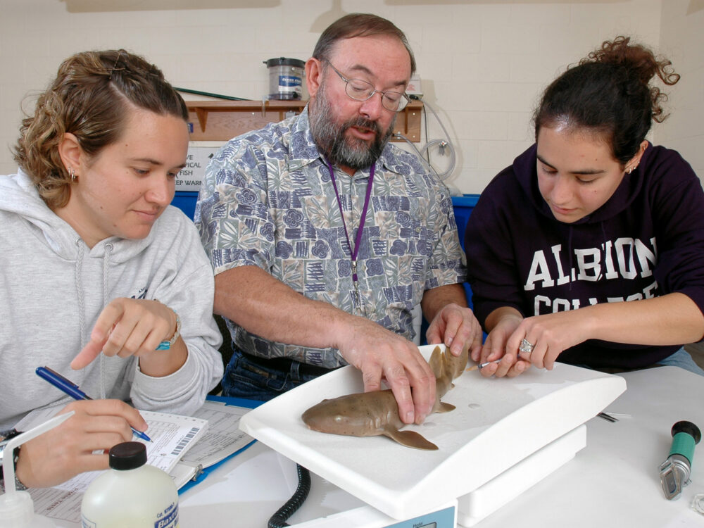 Jeff teaching students how to handle a young nurse shark